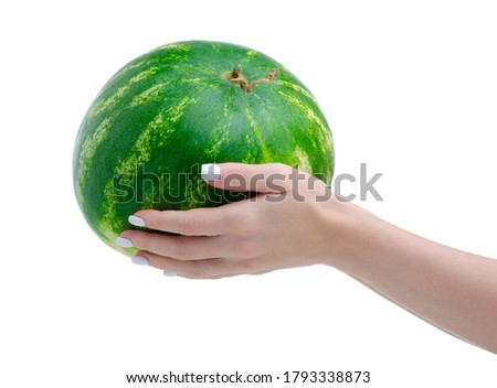 Watermelon fresh sweet in hand on white background isolation
