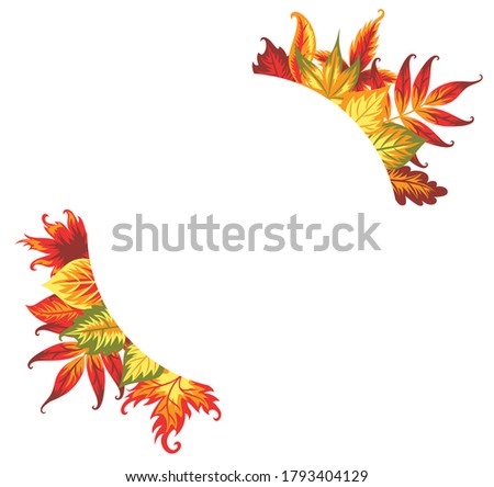 Autumn leaves on the white circle. Isolated on white.