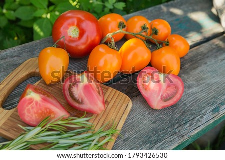 Various colorful tomatoes and rosemary herb on old rustic wooden background