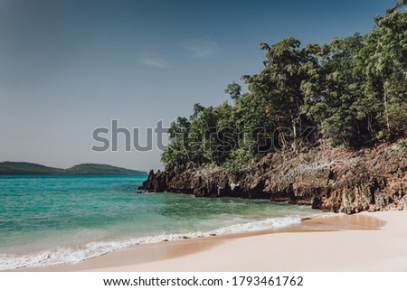 Paradise beach with palm trees in Samana, Dominican Republic 