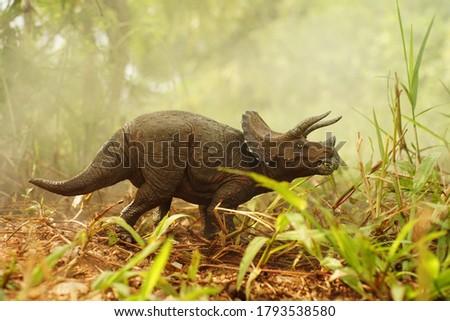 Triceratops dinosaurs toy standing eat grass with fog-covered forest on nature background. Royalty-Free Stock Photo #1793538580