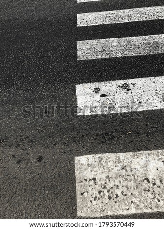 pedestrian crossing on the road in summer