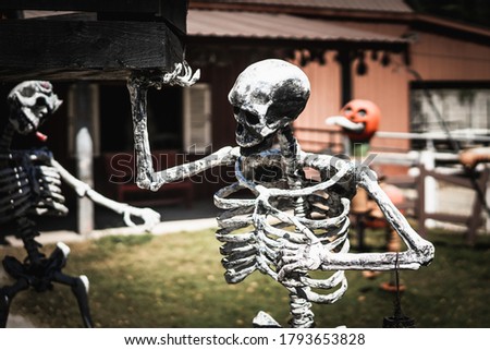 Halloween skeleton decorations in front of a graveyard