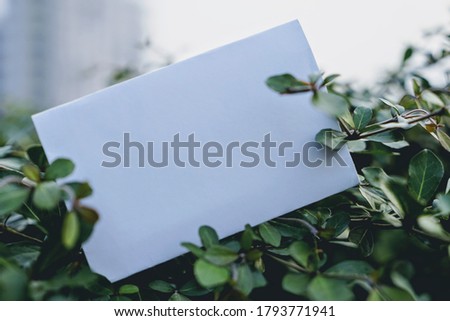 Blank tag on green leaf. Sustainable lifestyle. Selective focus. Copyspace.
