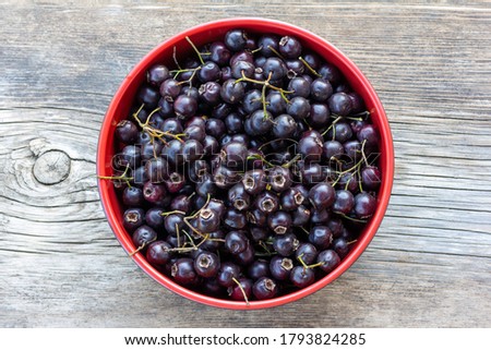 cup with black hawthorn berries on gray wooden background close up top view