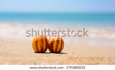 Two small striped melons stand on a sandy beach. In the backgrou