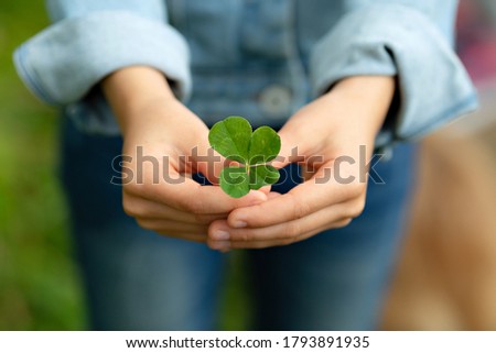 A sprig of clover with four leaves in the hands of a girl. Green sprout in female hands. Photo with selective focus.