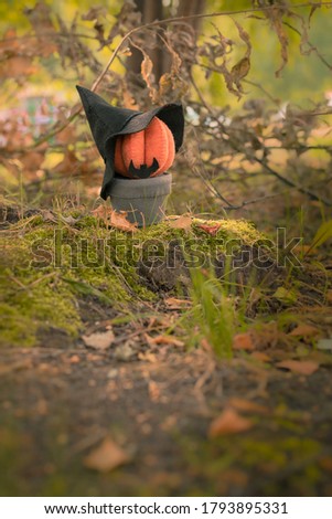 Felt pumpkin in a pot  with black hat are on background of an autumn forest. Halloween party.