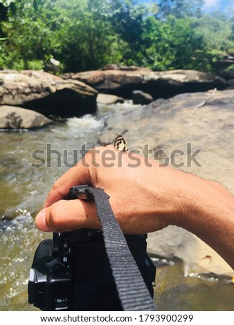 Butterfly on hand and camera
