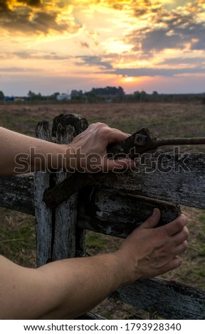 Sunset in the field, hands closing the field gate. Rural scene.