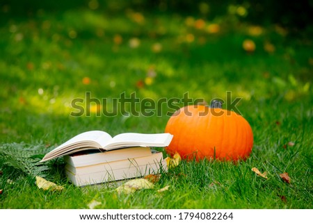 pumpkin and books are on a green grass in a garden 