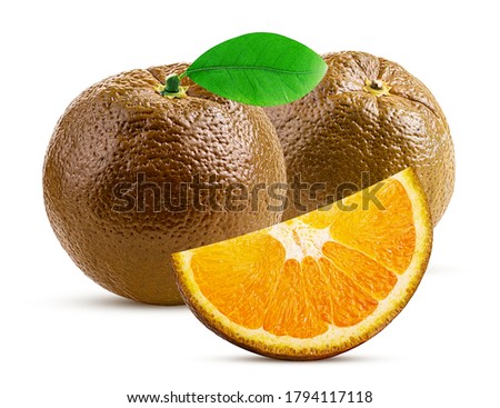 Two chocolate orange fruit one slice with leaf isolated on white background. Clipping Path. Full depth of field. Royalty-Free Stock Photo #1794117118