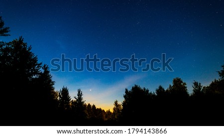 The starry night sky in the forest, the silhouettes of trees.