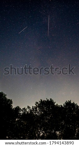 The starry night sky in the forest. A lot of stars and tree silhouettes. Bright satellite tracks. Stellar landscape, vertical image. 