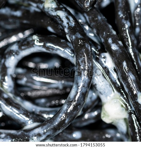 Black Italian spaghetti, pasta with blue cheese with mold and olive oil, macro picture. 