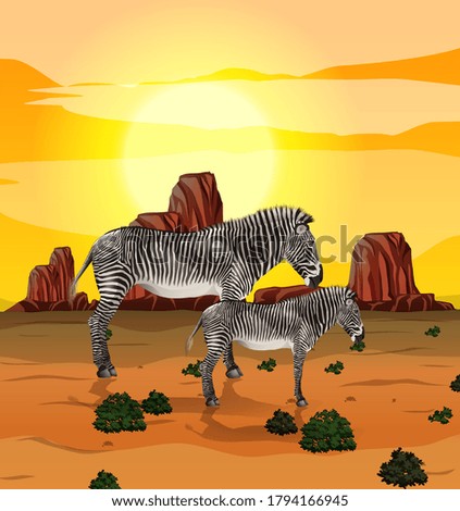 Zebra in nature background illustration
