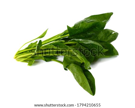 Fresh Spinach isolated on white background