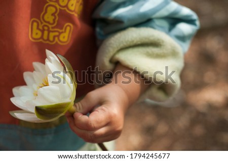 Water Lily in a child's hands