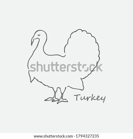 Turkey bird outline vector illustration
