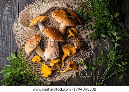 Wild mushrooms and chanterelles white, raw, on a round tableclothboard with a sprig myrtillus Royalty-Free Stock Photo #1794363832