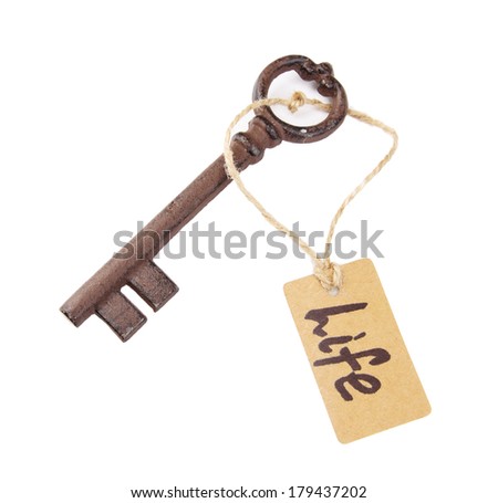 Key to life, Conceptual photo. Isolated on white