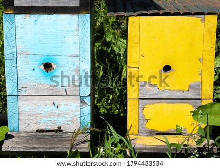 Wooden yellow and blue bee hives in the garden
