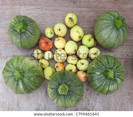 Autumn harvest of squash and apples. Natural product