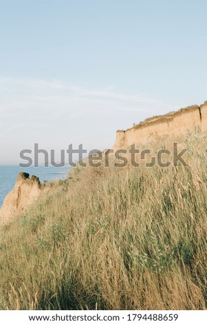 
Field on the sea background. Seascape. Sunny day, warm light. No people. Cozy, calm summer atmosphere. Photo color, vertical. There are no people.