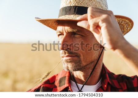 Image of unshaven adult man with wheat ear in her mouth looking aside while standing at cereal field