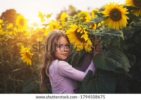 pretty young gitl is smelling sunflower and smiling at the field during sunset