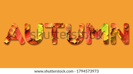 Inscription Autumn made with red, orange, yellow and green maple leaves background. Text for your design. Golden autumn concept. Sunny day, warm weather. Top view. Banner with light bokeh.