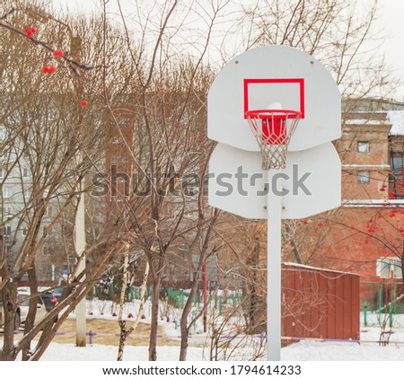 Basketball basket against the background of trees and houses, in the open, against the winter landscape