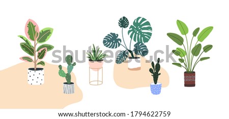 Home plants in flowerpot. Houseplants isolated. Trendy hugge style, urban jungle decor. Hand drawn. Set collection. Green, blue, pink, brown, beige, black colors. Print, poster, banner. Logo, label.
