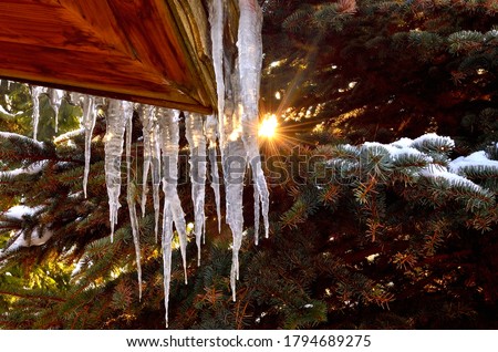 Icicles on cottage with green Pine Tree on the Background. Royalty-Free Stock Photo #1794689275