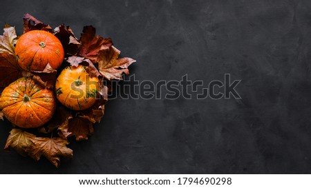 Pumpkins and autumn maple leaves on black background. 16x9 banner, copy space. Thanksgiving day concept.