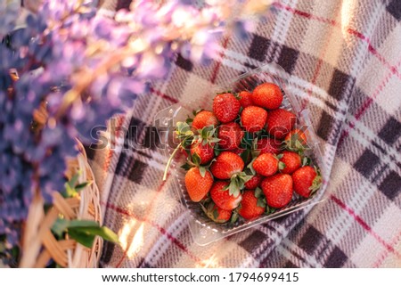 Healthy picnic for a summer vacation with freshly baked croissants, fresh fruit and fruit salad, sandwiches and a glass of refreshing orange juice laid out on a red and white checked cloth and hamper.