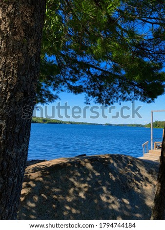 Lake side view in Canada. Image depicts a sunny day on the lake and the photo was taken under the shade of a tree. The image shows a vibrant and calm landscape.