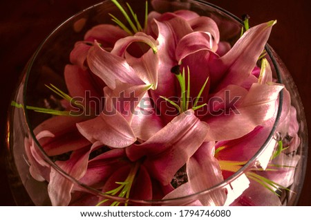 Round glass aquarium with a bouquet of large heads of pink lilies on a dark wooden background

