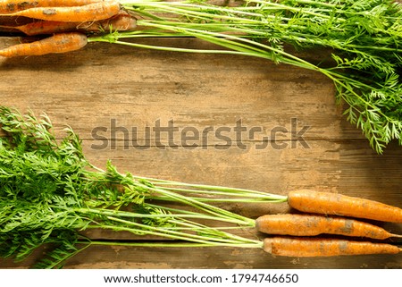 Fresh carrots with green tops on wooden table copy space