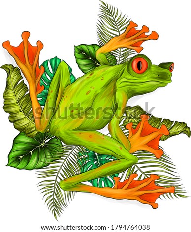 frog green tropical and palm leaves vector illustration color