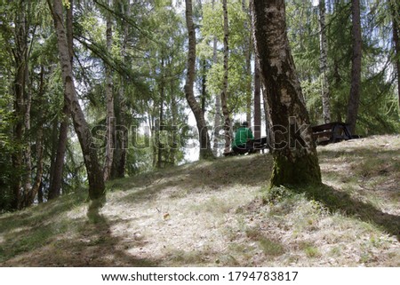 a man sits on a wooden bench in a picnic area in the middle of the woods