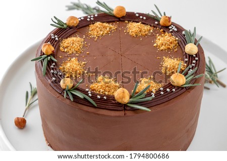 beautiful chocolate cake with hazelnuts close-up on a white plate