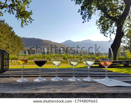 Vineyard wine tasting in South Africa. Royalty-Free Stock Photo #1794809665