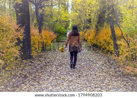 Autumn landscape, orange foliage in forest. Yong woman walking in park holding bright fall yellow maple leaves. Back view, faceless. Female watching woods outdoor, selective focus, noise