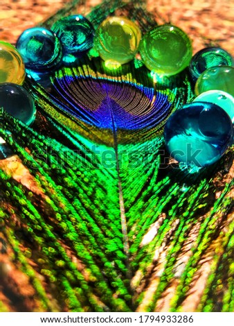 Blur Peacock feather and the marbles around