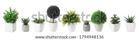Set of artificial plants in flower pots isolated on white. Banner design Royalty-Free Stock Photo #1794948136
