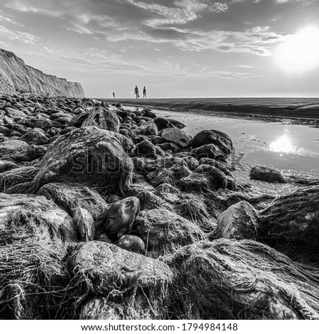 Cap Blanc-Nez, Opale coast, France, two people walking on the sand at the sunset on the beach. Seeweed in foreground