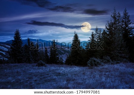 spruce forest on the hillside meadow at night. colorful grass in autumn. hills rolling in to the distance in full moon light. cloudy day