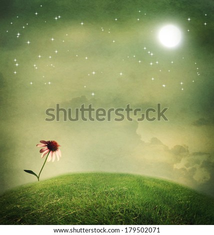 One echinacea flower on a fantasy hilltop under the moon