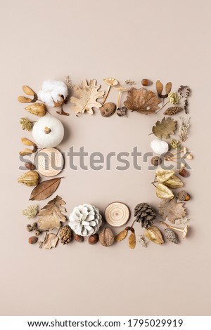 Autumn composition. Frame made of acorn, cone, cotton flowers, dried leaves on pastel background. Autumn, fall concept. Flat lay, top view, copy space, square.